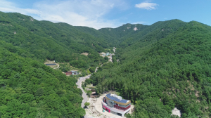 대봉산 산삼휴양밸리에서 원스톱 ‘힐링’OK