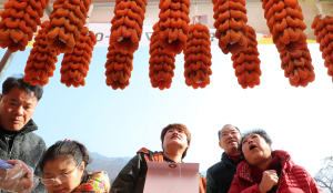 지리산의 선물 ‘함양고종시 곶감축제’