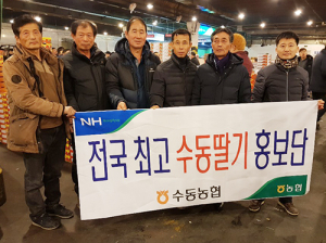 수동농협, 서울서 전국최고 수동딸기 홍보