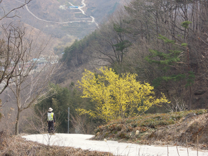 지리산둘레길, 동절기 정비 끝내고 손님맞이 준비 완료!