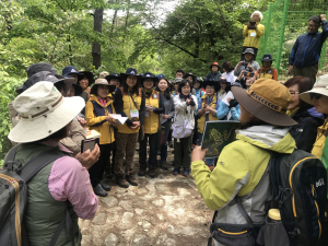 서부산림청, 산림교육일자리 전문가 숲교육 경연대회 개최 