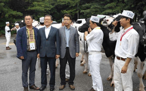 함양군 유림면 삼민목장 손민우 대표 한국 홀스타인 품평회 2위