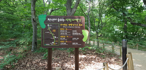 상림공원 맨발걷기 최고~, 에코 힐링 최고~