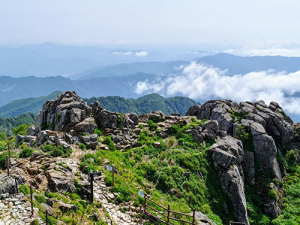 지리산의 초여름 풍경