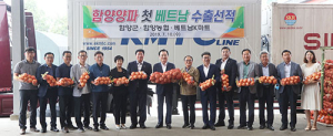 함양양파 첫 베트남 수출선적