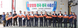 함양양파 미국·중국시장 진출