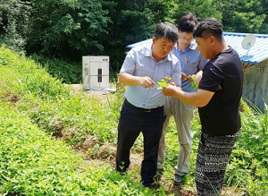 함양군 장마기 이후 농작물관리 현장지도 강화