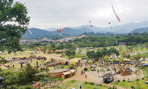 이팔청춘 함양산삼축제 ‘산삼 꽃을 피우다’