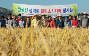 함양군, 벼 소식재배 평가회 가져