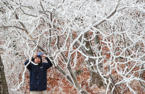 첫 눈 내린 삼봉산