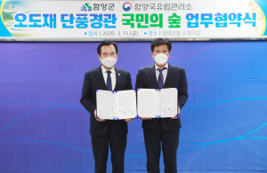 천년의 꿈을 심자! 단풍의 숲을 가꾸자! 