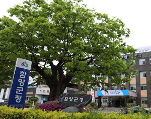 함양군 공무원 기강해이 ‘도 넘어’