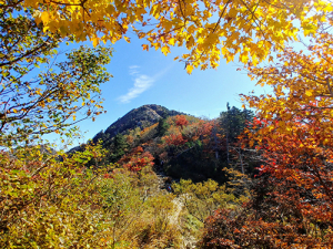 지리산 단풍