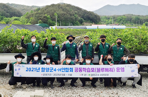 함양군4-H연합회 블루베리 공동학습포 운영시작!