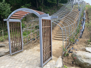 함양군, 엑스포 대비 산삼주제관 주변 정비에 만전