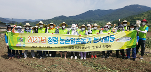 함양교육지원청 청렴동아리 농촌 일손돕기 봉사활동 실시