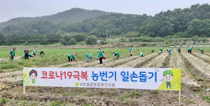 새마을운동 함양군지회, 농번기 일손 돕기 펼쳐