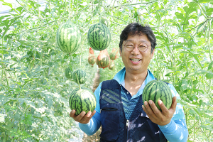 얇은 껍질 깎아 먹는 고당도 애플수박