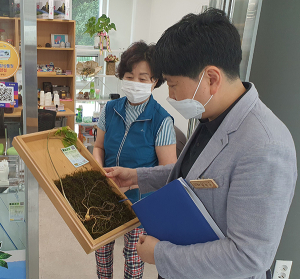 함양군 산양삼 불법유통행위 민·관 합동 집중단속
