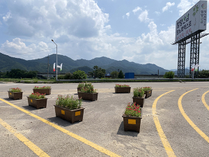 2021함양산삼항노화엑스포 관문 수동면 꽃길·꽃동산 정비