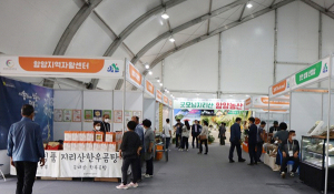 우리 가족의 건강은 함양산삼항노화엑스포에서 선물하세요