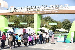 2021함양산삼항노화엑스포 31일간의 대장정 마무리
