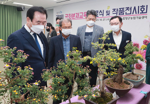 함양군, 국화분재교육 수료식 및 졸업 작품 전시회