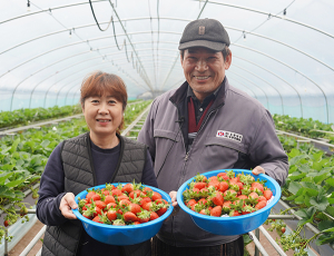 428- 지리산명인딸기 이감성 조나현 부부