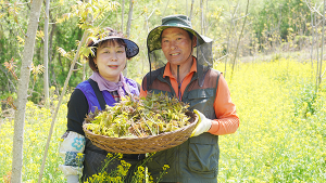 444- 지리산옻칠 장철안 홍유진 부부