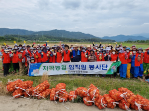 지곡농협 임직원 봉사단 영농철 일손돕기 실시