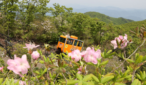 힐링1번지 함양대봉산휴양밸리로 오세요