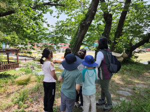 병곡초, 오감만족 사계절 체험학습(여름) 실시