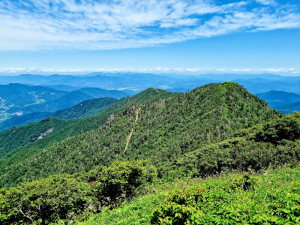 지리산의 여름