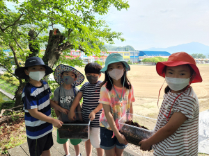 병곡초, 여름동산에서 만날 수 있는 장수풍뎅이와 하늘소를 만나다