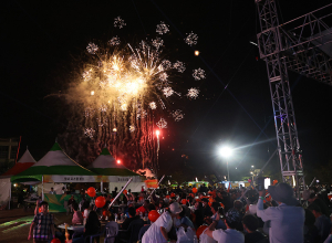 `함양산삼축제` 태풍 이겨내고 대박!, 11일 폐막식에 1만명 모여