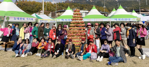 농촌체험 농뚜레일, 수동사과축제 기차여행