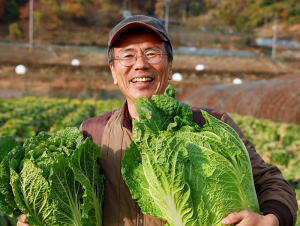 게르마늄 지대에서 생산한 명품절임배추 맛 보세요