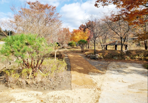 함양 서상면 맹동마을 꽃길 꽃동산 조성