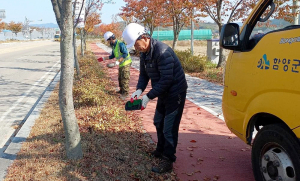 함양군 도시숲·가로수 가을 비료주기 작업 실시