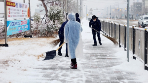 연이은 폭설 안전사고 예방 대비 전 직원 제설작업
