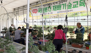 제4회 국화분재 재배기술교육 교육생 모집