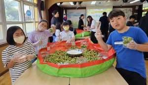 마천초, 친환경 매실청 담그기 체험학습 실시