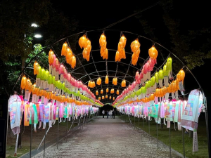 함양군, 제18회 함양산삼축제 소망등 2차 접수