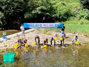 함양군, 내수면 메기치어 방류