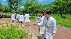 함양 꿈다락 토요문화학교 ‘용추계곡 약초마법사’ 프로그램 운영