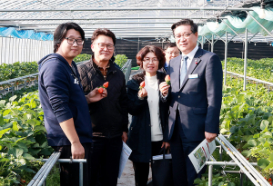 함양군 딸기 재배 현장 찾은 국립원예특작과학원 김명수 원장