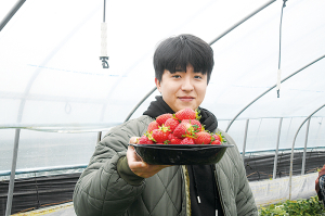 체험 함양 삶의 현장–18 안의면 박홍석씨 딸기농장