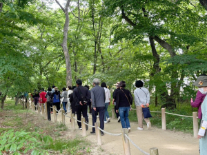 함양군 한마음 치매극복 걷기행사 성료