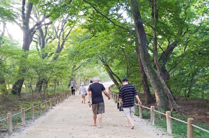 함양군, 상림숲 헬스투어 ‘향기롭게 걸어보세~’ 진행