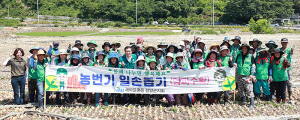 새마을운동 함양군지회, 농촌 일손 돕기 양파 수확 봉사활동